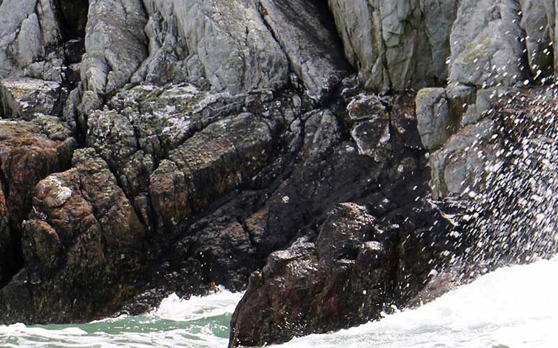 Adventure Coasteering